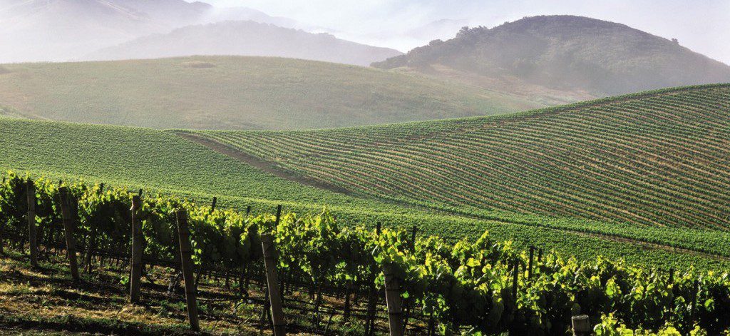 d3cc62b611d8316c865da97870a753fa-1024x645[1] croppped